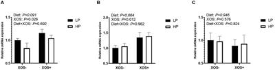 Xylo-oligosaccharides improve the adverse effects of plant-based proteins on weaned piglet health by maintaining the intestinal barrier and inhibiting harmful bacterial growth